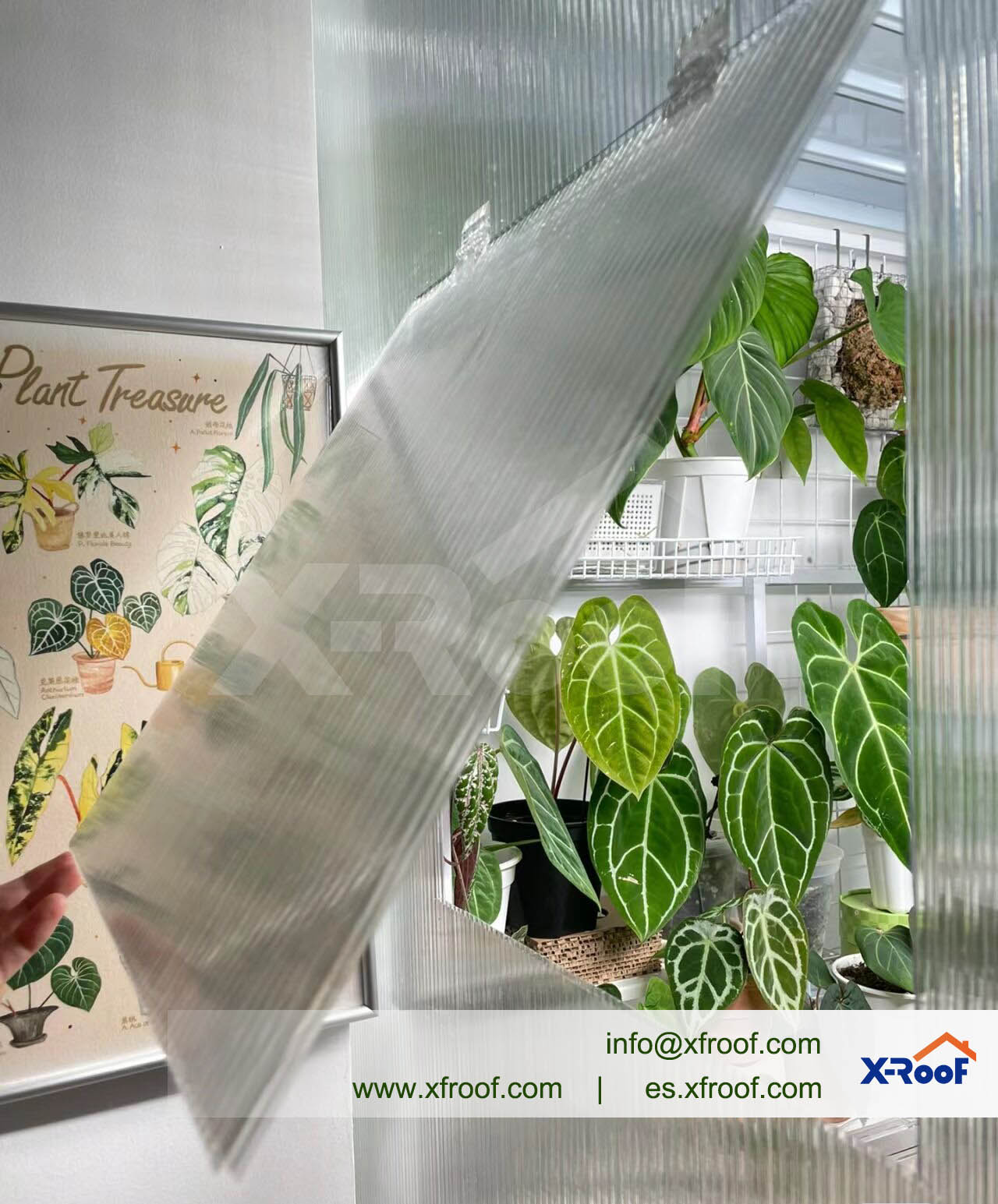 family-style-mini-multi-layer-polycarbonate-greenhouse-1.jpg