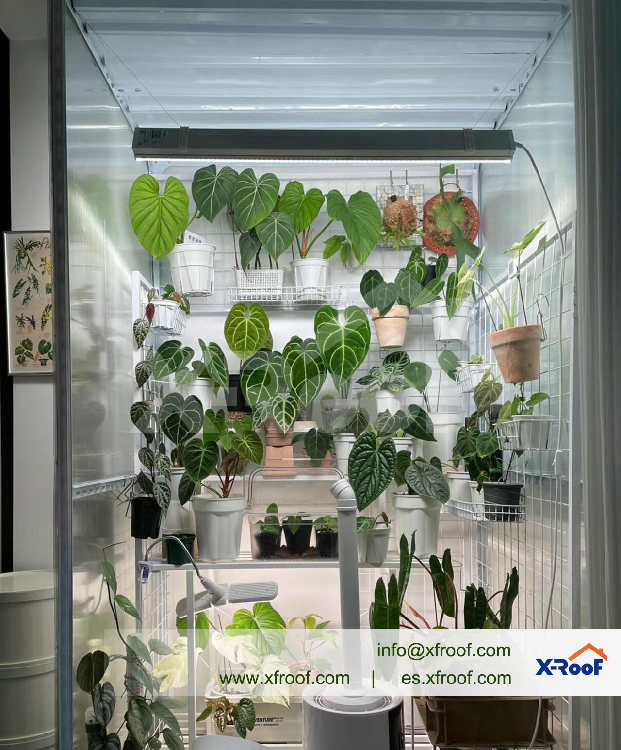 family-style-mini-multi-layer-polycarbonate-greenhouse-2.jpg